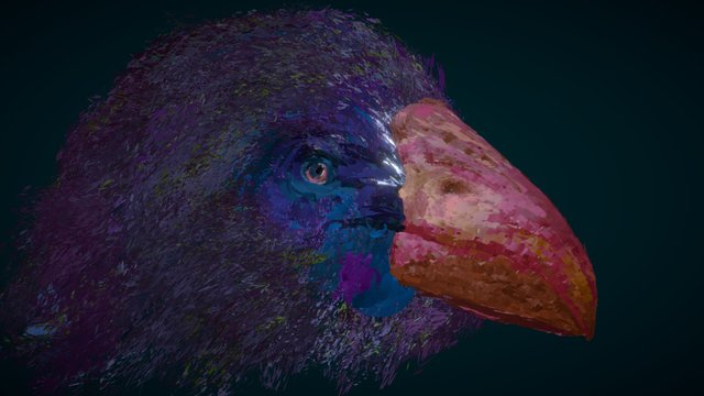 Takahe Sept2016 3D Model