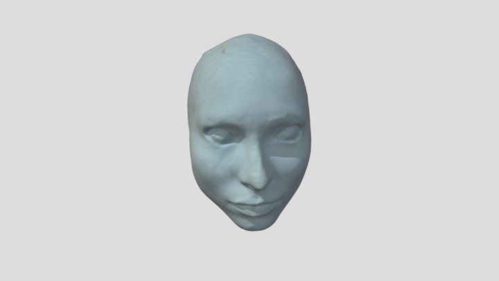 Shareware_010_Facemask_Laura_A_Dima 3D Model