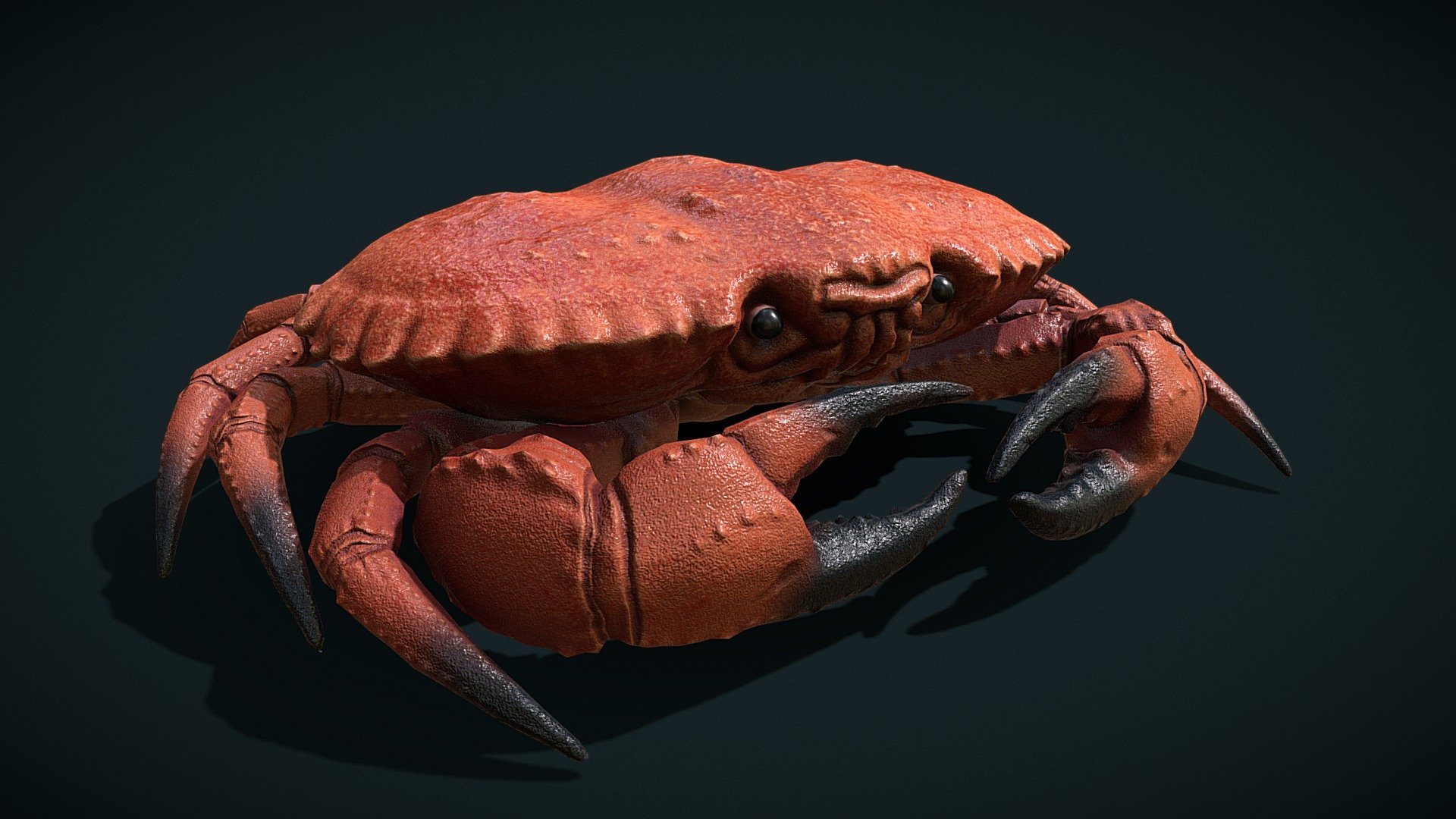 King Crab Download Free 3D Model By Auckland Museum (@aucklandmuseum ...