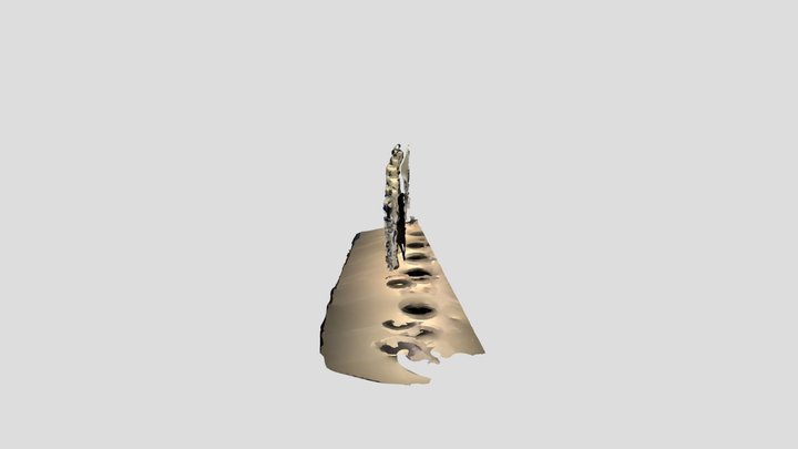 Basquiat 3D Model