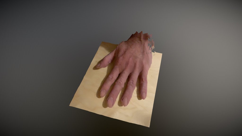 Hand - Feet - A 3D model collection by horitora - Sketchfab