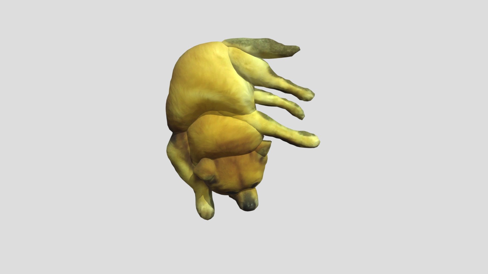 My Project-DOG熊熊