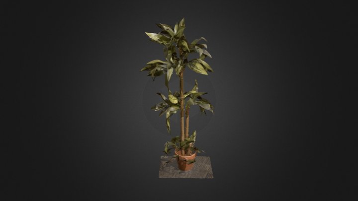 Fake Plant v.5 3D Model