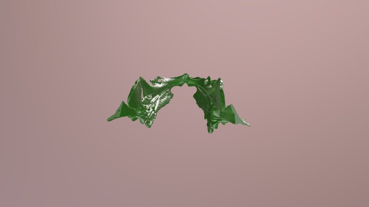 col11a2 mutant wildtype zebrafish jaw 3D Model