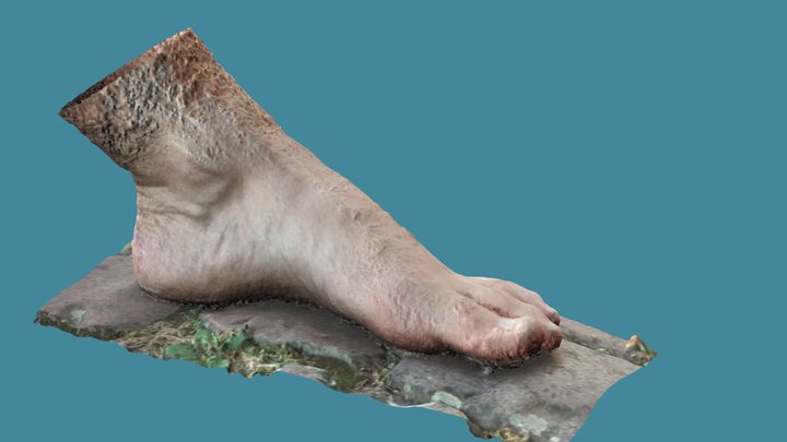 Big Foot - Prot1 3D Model