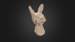 Photogrammetry rabbit (hi poly) - 3D model by Jellypack [9af5464 ...