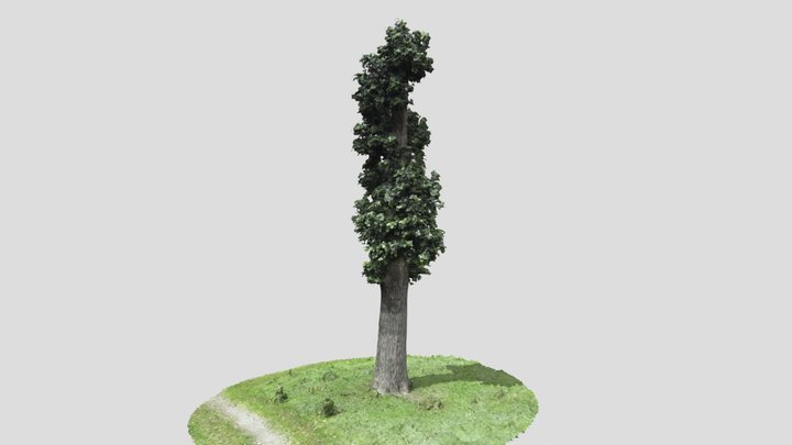 Knot Boom – Modèle 3D gratuit STL