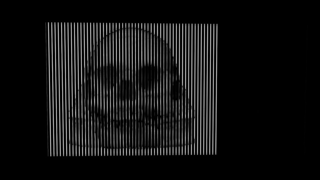 Animated optical Illusion - Skull.