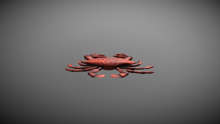 crab 3D Model