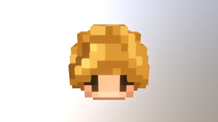 Head Practice 3D Model