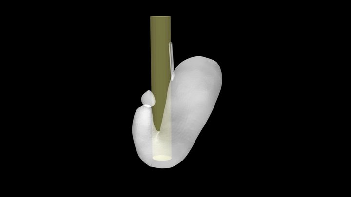 tsu_fook_front 3D Model