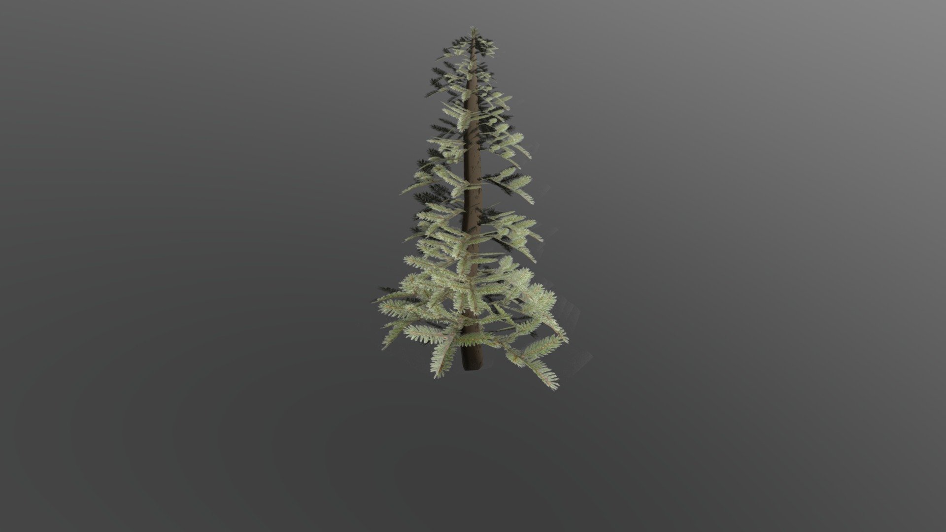 Pino - Download Free 3D model by fantascrivendo [21a4b2e] - Sketchfab