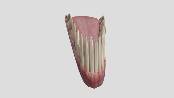 scary teeth 3D Model