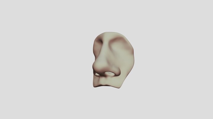 Nose practice 3D Model