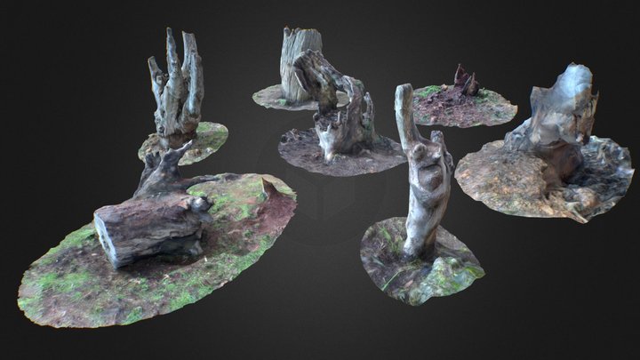 dead forest creepy tree stumps for background1 3D Model
