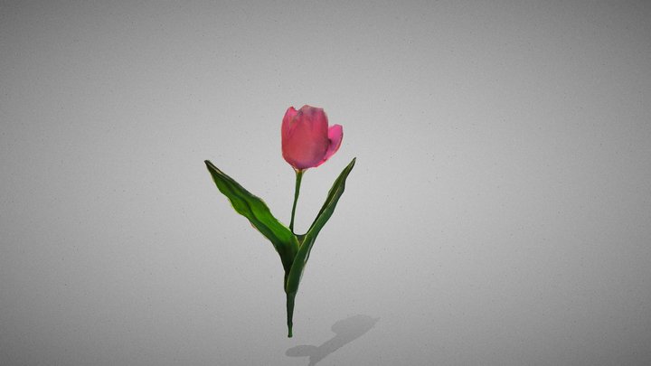 Flower 3D Model