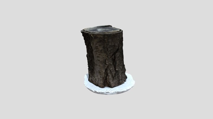 Tree Stump - Photogrammetry In Class Test 3D Model