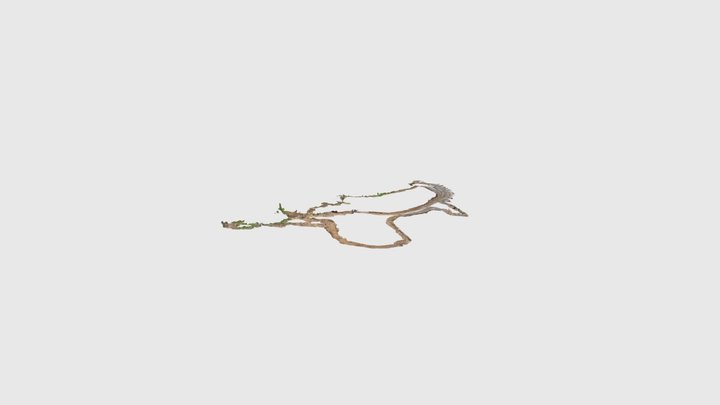 Clearing 3D Model