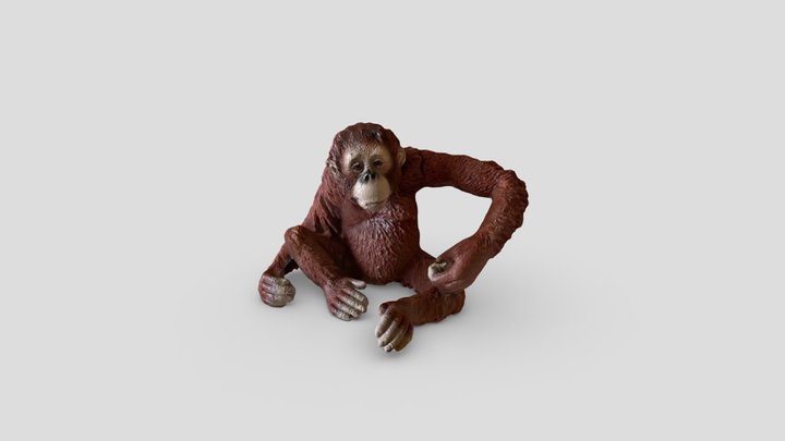orangutan 3D Model
