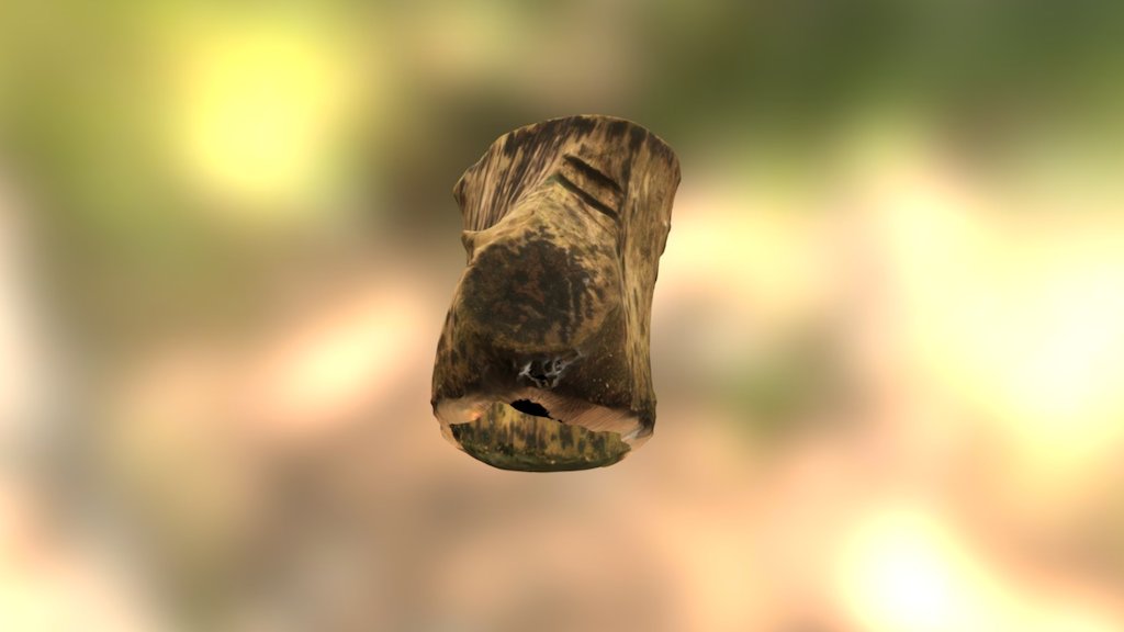 Log Photoscan
