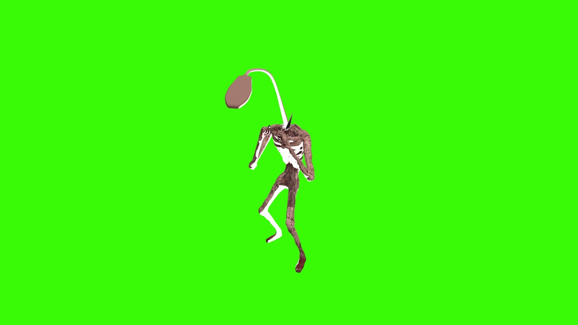 Taunt Light Head