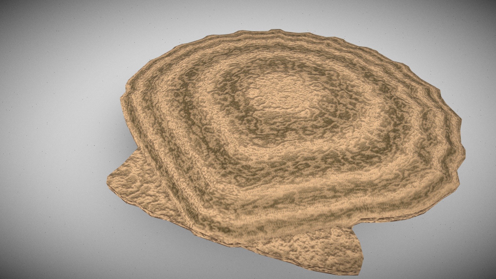 Chesapecten Scallop — Sketchfab embed 3D viewer