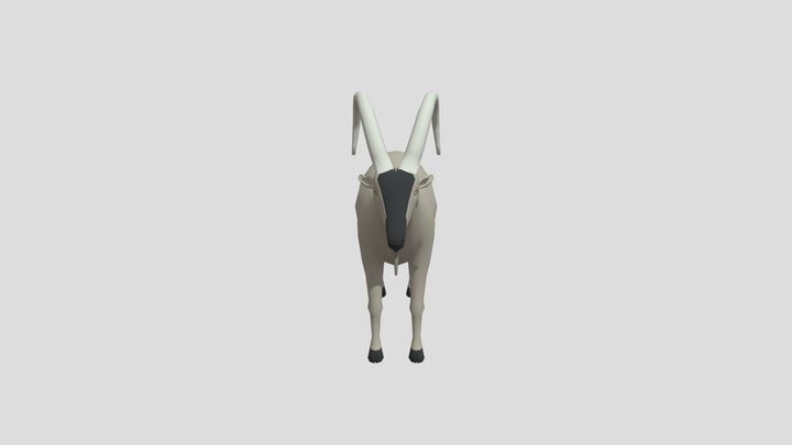Kri Kri Wild Goat