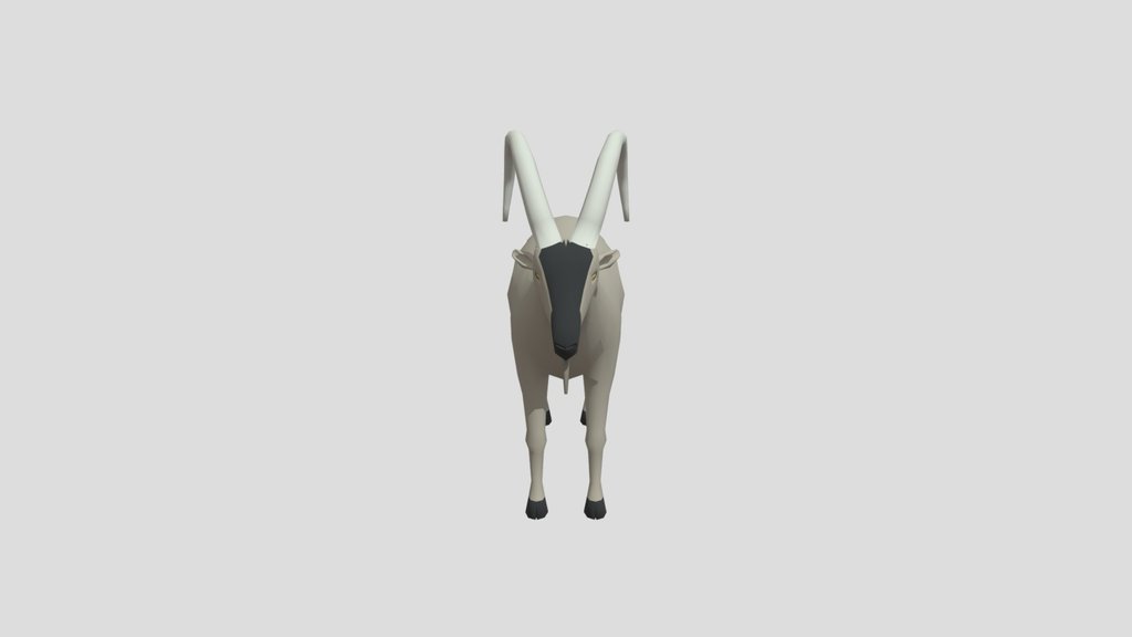 Kri Kri Wild Goat