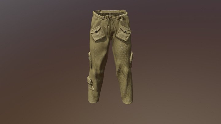Cargo Pants 3D Model