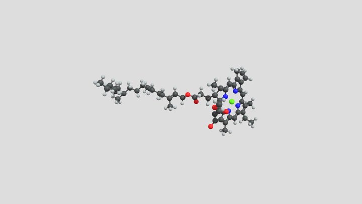 Chlorophylle 3D Model
