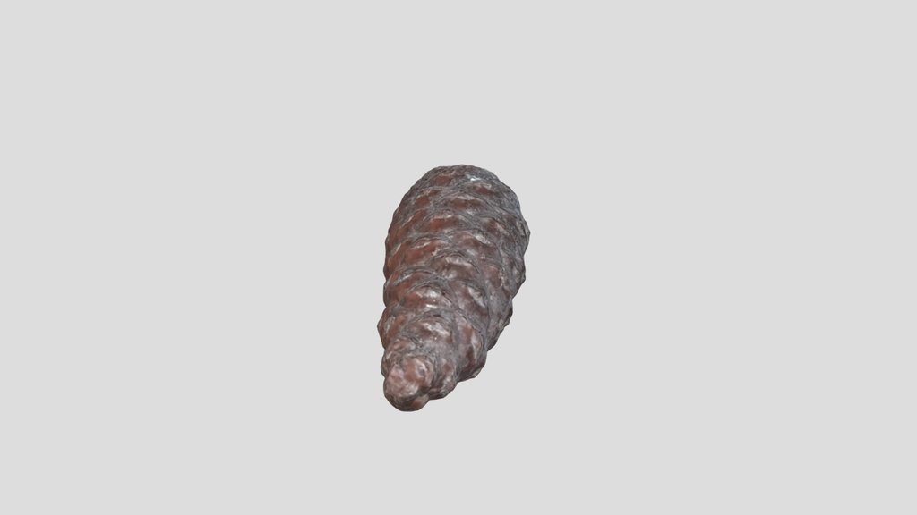 Pinecone
