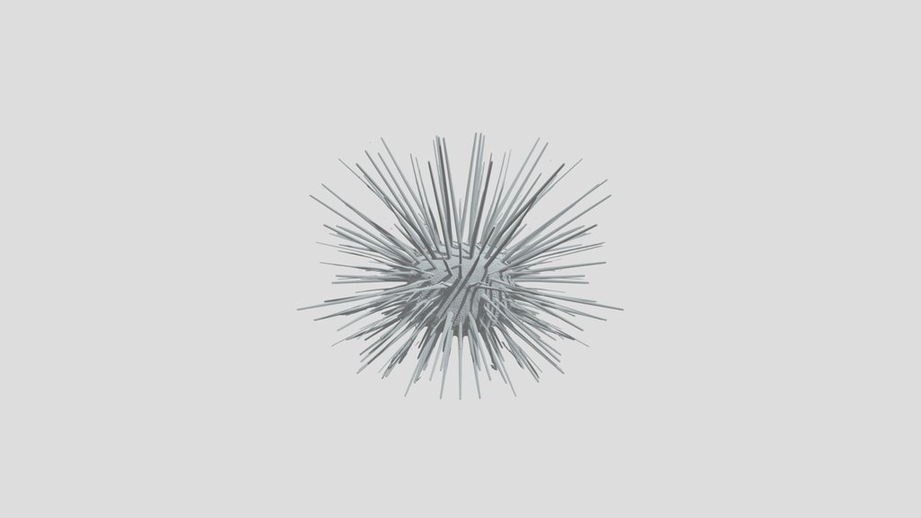 Midnight Sea Urchin