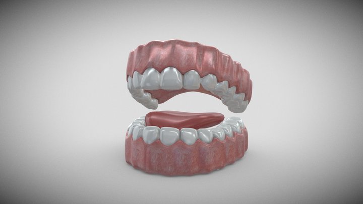 Dentures Mold 3D model