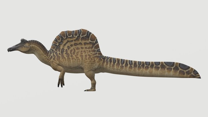 Accurate Spinosaurus – Free 3D Model STL