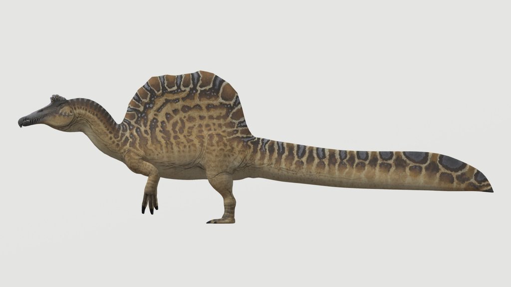 Accurate Spinosaurus