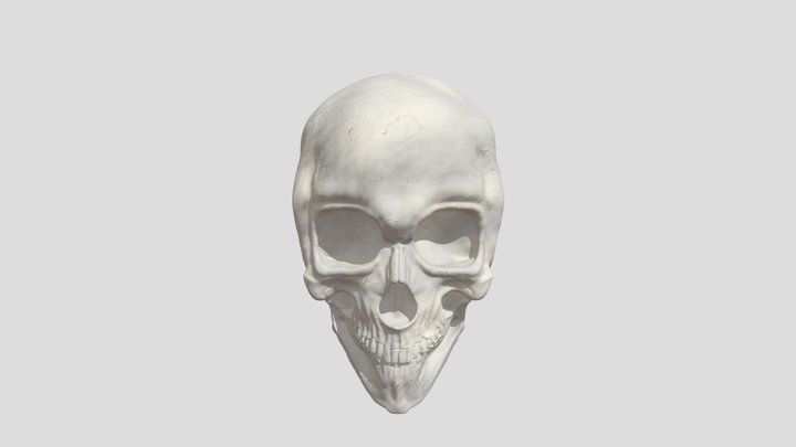 SKULL 3D Model