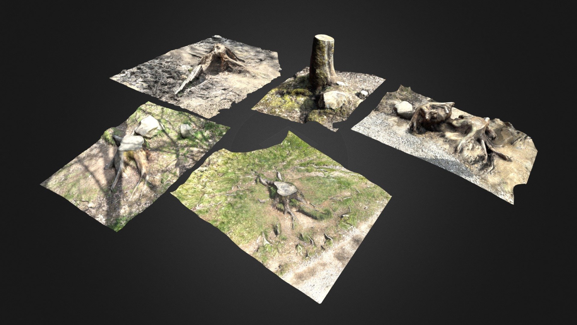 Collection of Tree Stumps - Buy Royalty Free 3D model by DafVader ...