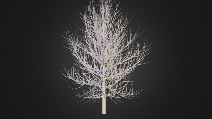 Main Tree 3D Model