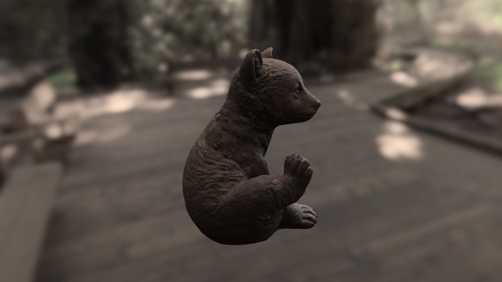 Baby Black Bear_Demo 3D Model