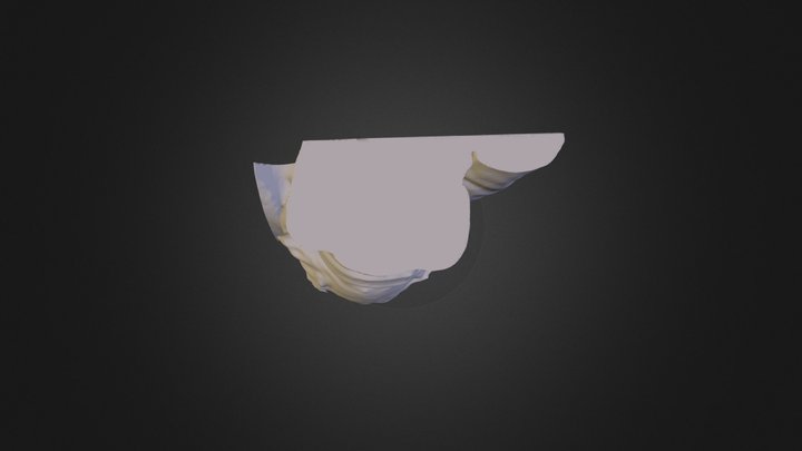 Simba 3D Model