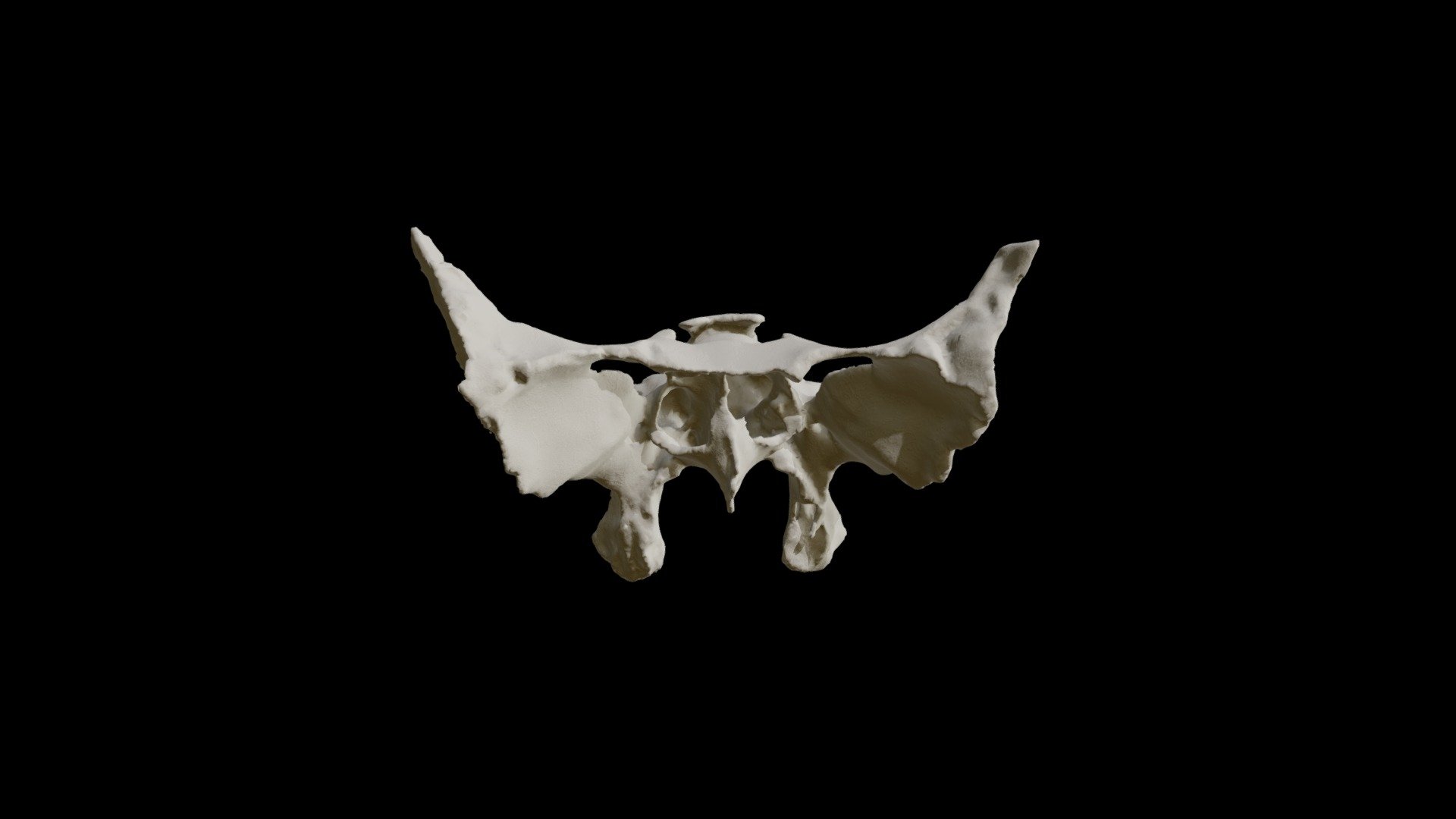 esfenoides — Sketchfab embed 3D viewer