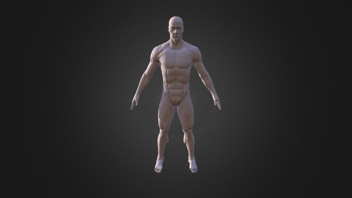 Avg Male 00 3D Model