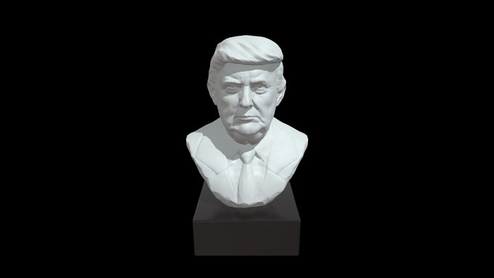 Trump 3D Model