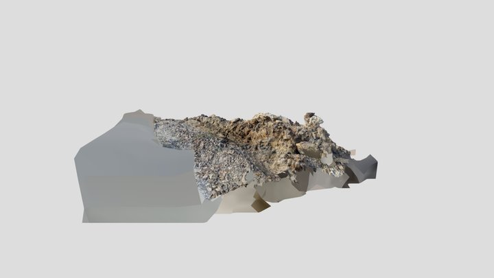 Blister Tail 3D Model