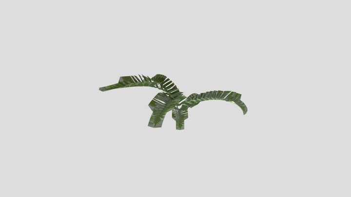 Fern – Modello 3D gratuito STL