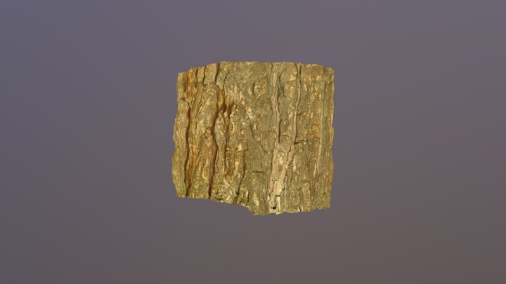 Tree 3D Model