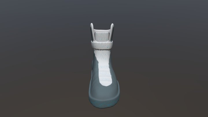 Cario Shoe 3D Model