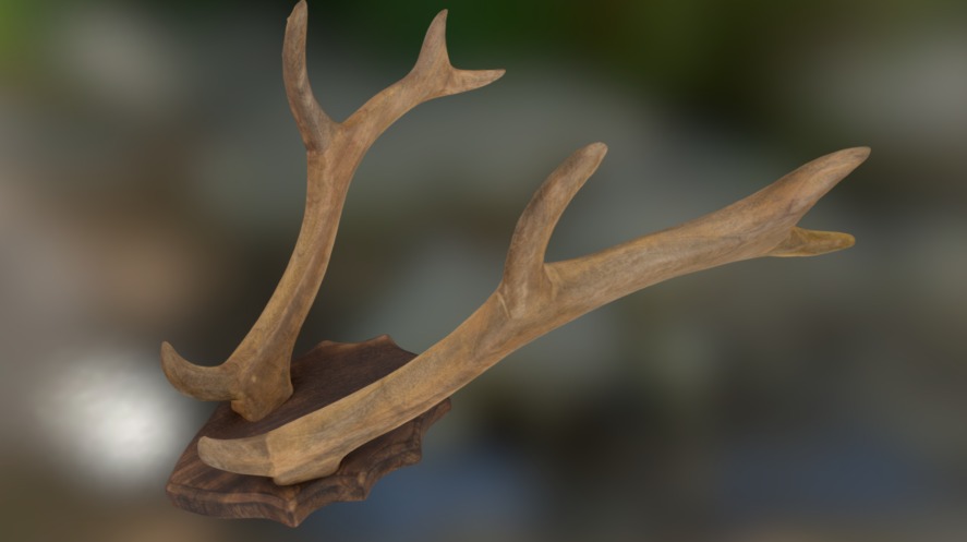 Wooden antlers - 3D model by Becca (@rperry) [21f690e] - Sketchfab