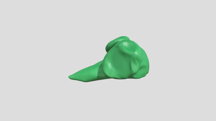 bird – Modello 3D gratuito STL