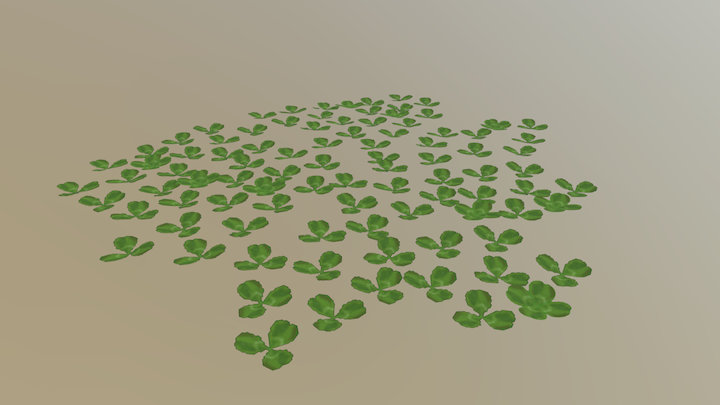 3 and 4 leaf Clovers 3D Model